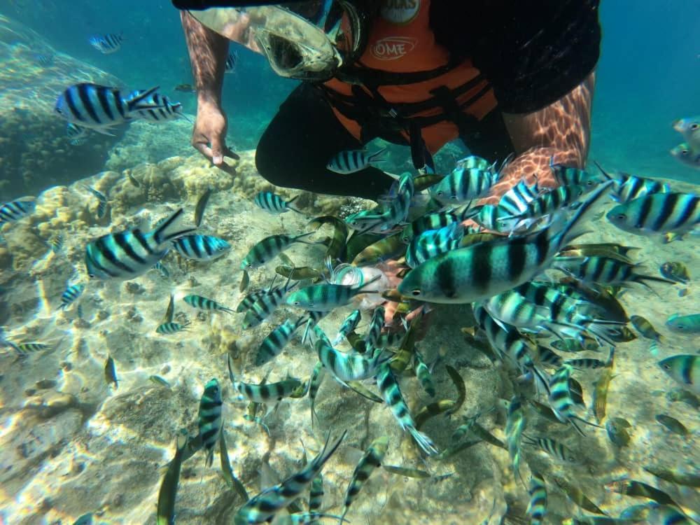 Perhentian Sri Tanjung , Kampung Nelayan Pulau Perhentian * Pulau Perhentian Kecil