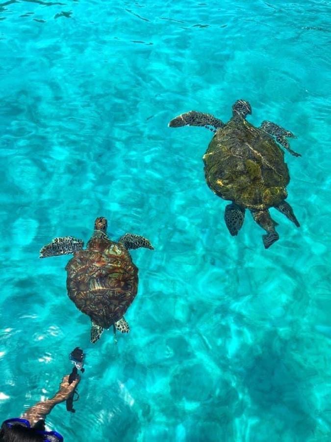 Perhentian Sri Tanjung , Kampung Nelayan Pulau Perhentian